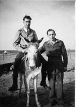 DonkeyDerby1946 