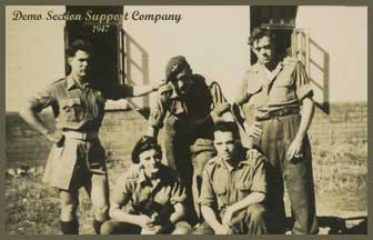 demo section support company 